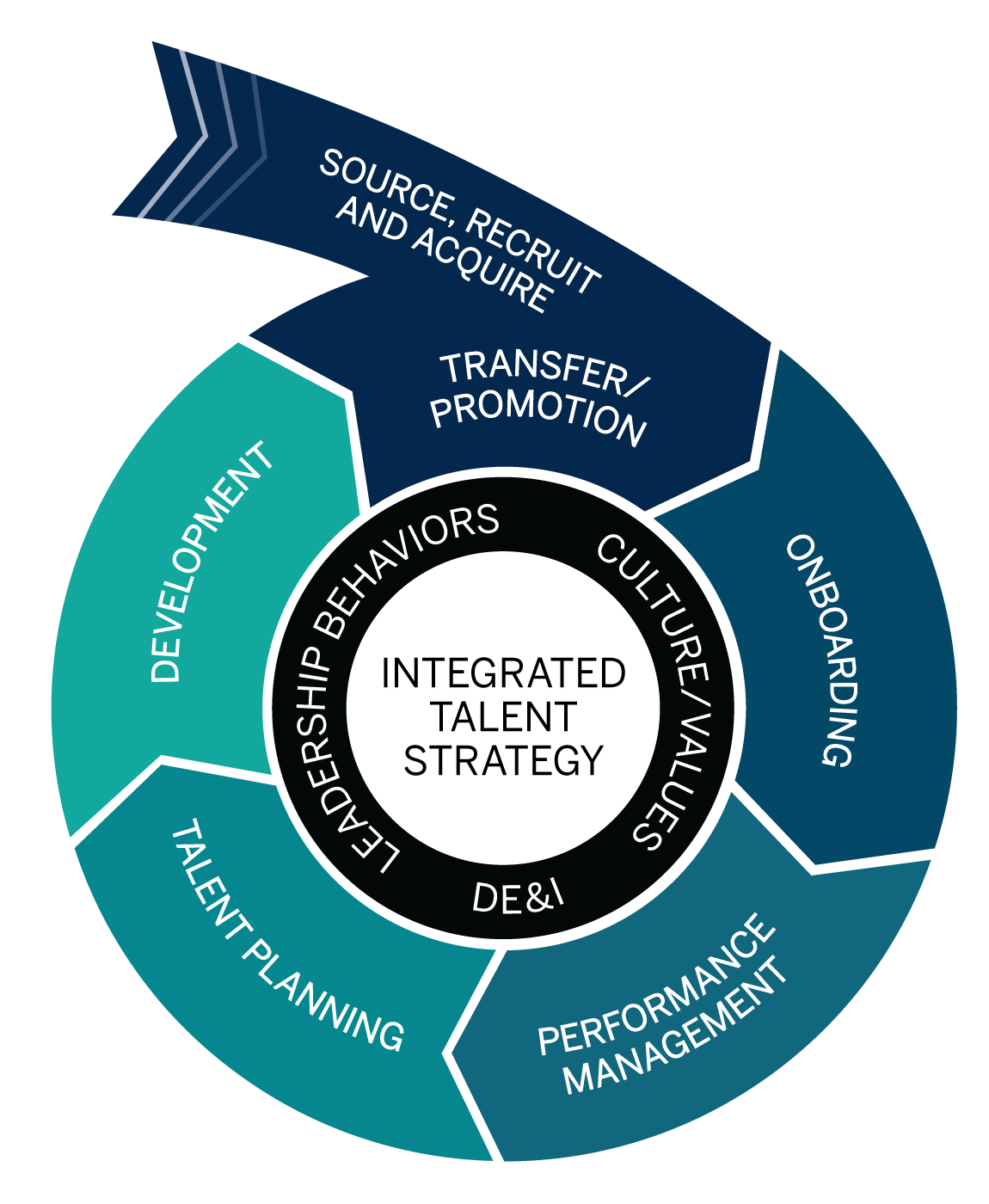 Become an Employer of Choice: Own Your Talent Management Lifecycle