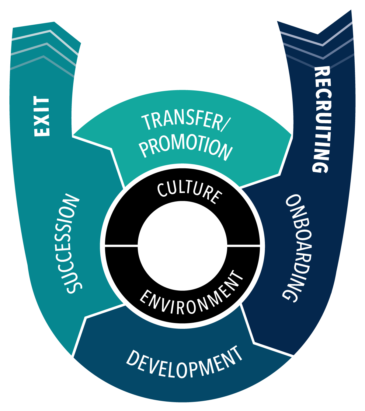 talent lifecycle graphic